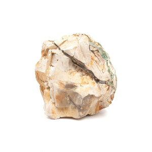 形状お任せ 木化石 Sサイズ(約8〜13cm) 1個 アクアリウム レイアウト素材 関東当日便