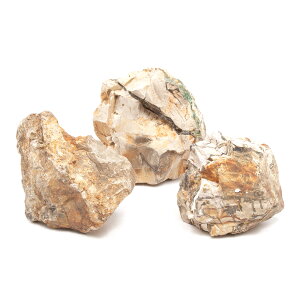 `󂨔C@؉΁@STCYi8`13cmj@3@ANAE@CAEgfށ@֓