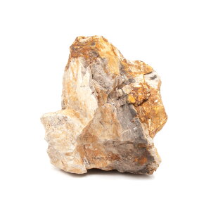 形状お任せ 木化石 Mサイズ(約13〜18cm) 1個 アクアリウム レイアウト素材 関東当日便