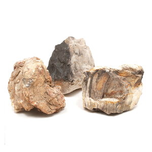 `󂨔C@؉΁@MTCYi13`18cmj@3@ANAE@CAEgfށ@֓