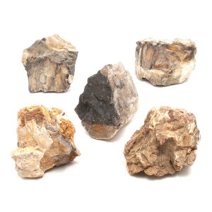 `󂨔C@؉΁@MTCYi13`18cmj@5@ANAE@CAEgfށ@֓