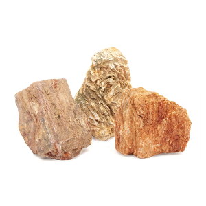 `󂨔C@ؖ@STCYi8`13cmj@3@ANAE@CAEgfށ@֓