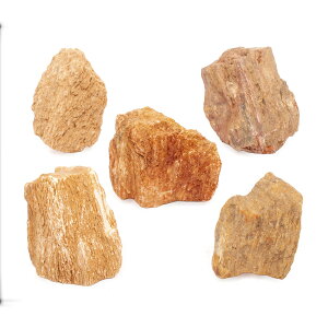 `󂨔C@ؖ@STCYi8`13cmj@5@ANAE@CAEgfށ@֓