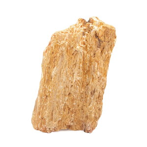 `󂨔C@ؖ@MTCYi13`18cmj@1@ANAE@CAEgfށ@֓