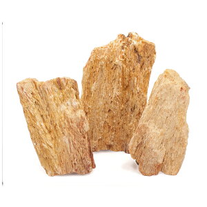 `󂨔C@ؖ@MTCYi13`18cmj@3@ANAE@CAEgfށ@֓