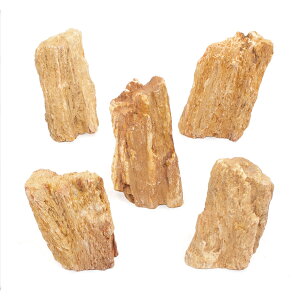 形状お任せ 木紋岩 Mサイズ(約13〜18cm) 5個 アクアリウム レイアウト素材 関東当日便