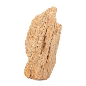 `󂨔C@ؖ@LTCYi18`23cmj@1@ANAE@CAEgfށ@֓