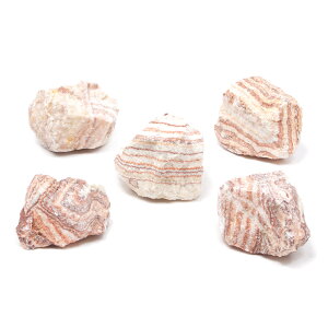 `󂨔C@΁@SSTCYi5`8cmj@5@ANAE@CAEgfށ@֓