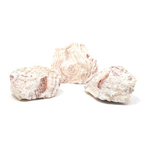 `󂨔C@΁@STCYi8`13cmj@3@ANAE@CAEgfށ@֓