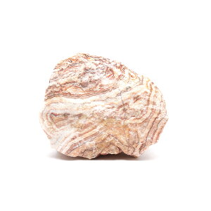 `󂨔C@΁@MTCYi13`18cmj@1@ANAE@CAEgfށ@֓