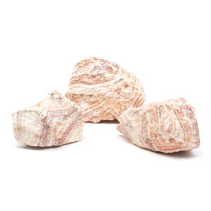 形状お任せ 朱紋石 Mサイズ(約13〜18cm) 3個 アクアリウム レイアウト素材 関東当日便