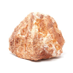 `󂨔C@ꏻ΁@LTCYi18`23cmj@1@ANAE@CAEgfށ@֓