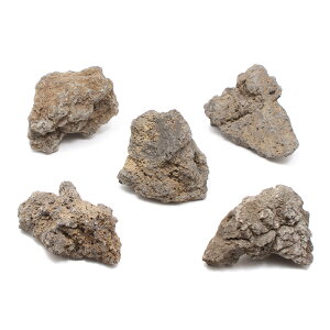 `󂨔C@obN@MTCYi13`18cmj@5@ANAE@CAEgfށ@֓