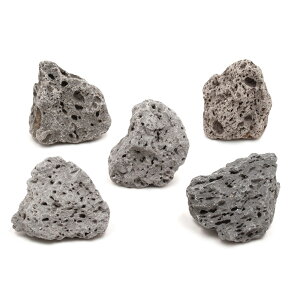 形状お任せ 玄武石 SSサイズ(約5〜8cm) 5個 アクアリウム レイアウト素材 関東当日便