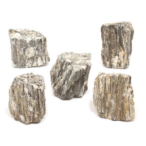 `󂨔C@P΁@STCYi8`13cmj@5@ANAE@CAEgfށ@֓