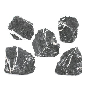 `󂨔C@eR΁@STCYi8`13cmj@5@ANAE@CAEgfށ@֓