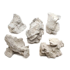 形状お任せ 白風石 Mサイズ(約13〜18cm) 5個 アクアリウム レイアウト素材 関東当日便