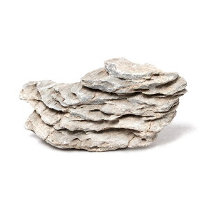 `󂨔C@ϑw΁@MTCYi13`18cmj@1@ANAE@CAEgfށ@֓