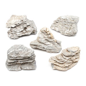 `󂨔C@ϑw΁@MTCYi13`18cmj@5@ANAE@CAEgfށ@֓