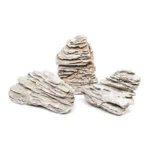 `󂨔C@ϑw΁@LTCYi18`23cmj@3@ANAE@CAEgfށ@֓