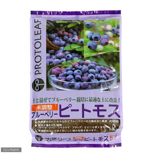 |{y@vg[t@@u[x[s[gX@5L@֓