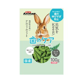 ミニアニマン　ウサギの牧草スナック　ハーブの香り　100g　うさぎ　おやつ　ドギーマン　関東当日便