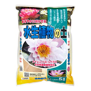 |{y@A̓y@5bg@ll5_@֓