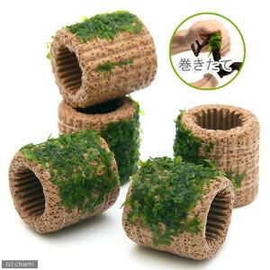 ijā@Ct}`ijXspDiYji_ji1j