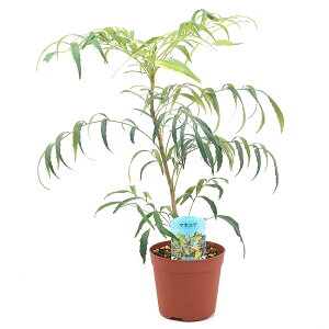 iϗtAj}zjA@Rt[T[iחtqCMiej@4D5i1jixԁj