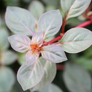 ijhEBWAspDX[p[bhitji_ji18{j