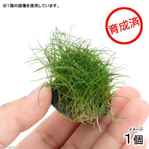 ij琬ρ@wA[OXV[g{[itji_ji1j