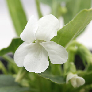 iR쑐jX~i俁jVoimWX~iԖH俁j2D5`3@i1|bgjixԁj