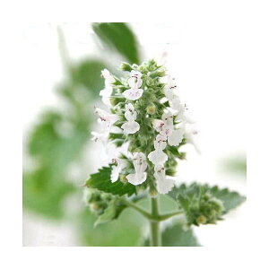 iϗtAjn[uc@Lbgjbv@@3i1|bgj@L@ƒ؉