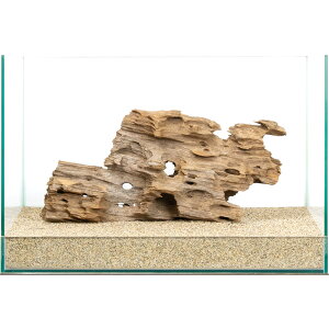 _@45cmp@njJEbh@854215@֓