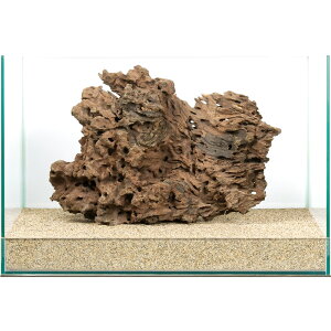 _@45cmp@njJEbh@854219@֓