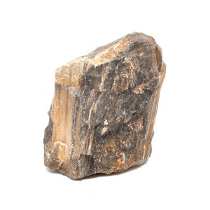 `󂨔C@؉΁@LTCYi18`23cmj@1@ANAE@CAEgfށ@֓