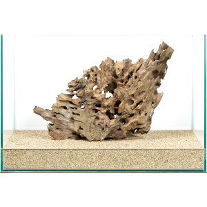 _@45cmp@njJEbh@855088@֓