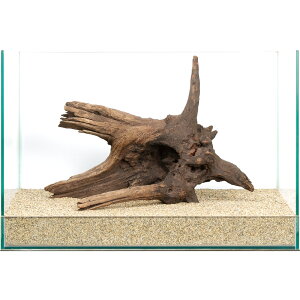 _@htgEbh@45cmp@858657@֓