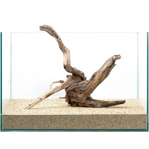 _@fBA[z[Ebh@45cmp@858878@֓