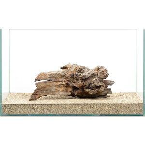 ��_���@60cm�����p�@�E�F�[�u�E�b�h�@859720�@�֓�������