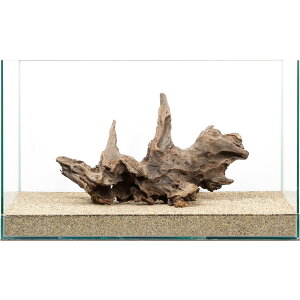 ��_���@60cm�����p�@�E�F�[�u�E�b�h�@859722�@�֓�������