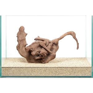 _@㎿؁@@45cmp@859774@֓