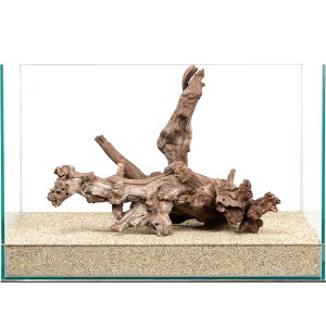 _@TSEbh@45cmp@859787@֓