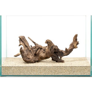 _@TSEbh@45cmp@859796@֓