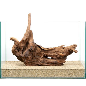 _@㎿htgEbh@45cmp@859830@֓