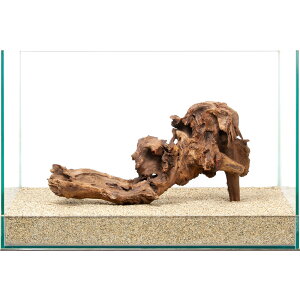 _@㎿htgEbh@45cmp@859831@֓