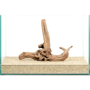 _@㎿؁@@45cmp@859841@֓