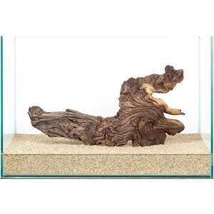 _@plEbh@45cmp@859928@֓