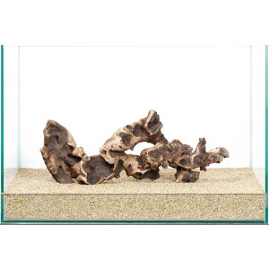 _@plEbh@45cmp@859929@֓