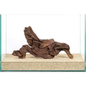 _@plEbh@45cmp@859937@֓